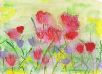 Jane Ashford painting poppies